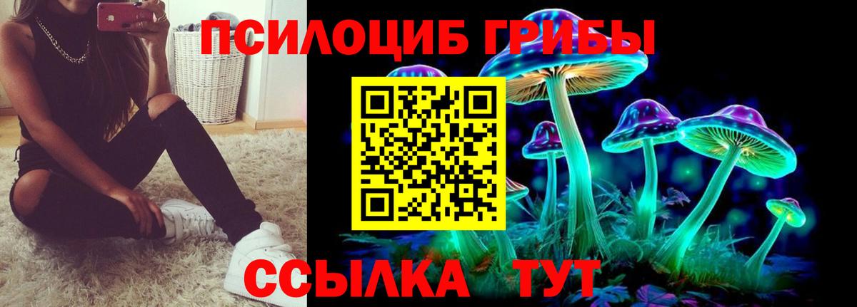 Галлюциногенные грибы прущие грибы  Псилоцибиновые грибы Psilocybe  Октябрьский  Вход с VPN 